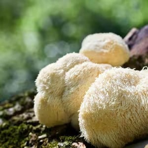 Genesis Revival ingredients 5